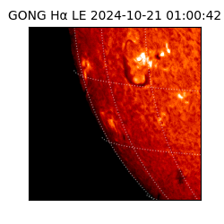 gong - 2024-10-21T01:00:42