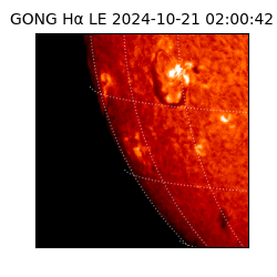 gong - 2024-10-21T02:00:42