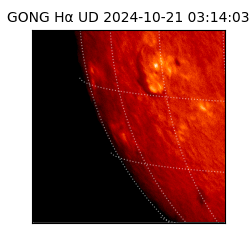 gong - 2024-10-21T03:14:03