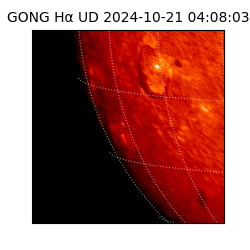 gong - 2024-10-21T04:08:03