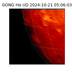 gong - 2024-10-21T05:06:03