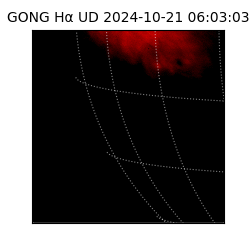 gong - 2024-10-21T06:03:03