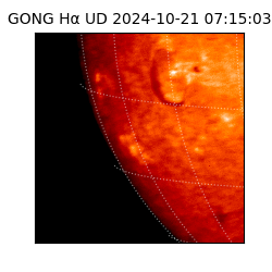 gong - 2024-10-21T07:15:03