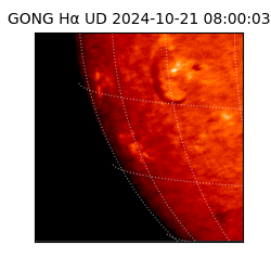 gong - 2024-10-21T08:00:03