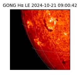 gong - 2024-10-21T09:00:42