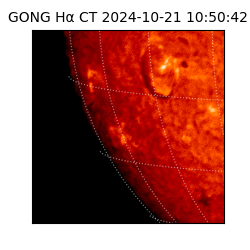 gong - 2024-10-21T10:50:42