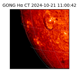 gong - 2024-10-21T11:00:42