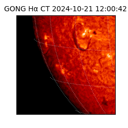 gong - 2024-10-21T12:00:42