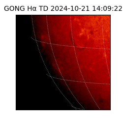 gong - 2024-10-21T14:09:22