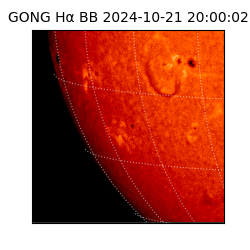 gong - 2024-10-21T20:00:02