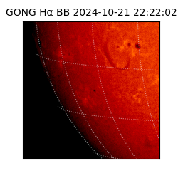 gong - 2024-10-21T22:22:02