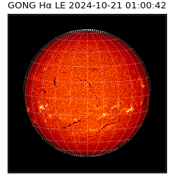 gong - 2024-10-21T01:00:42