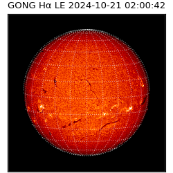 gong - 2024-10-21T02:00:42