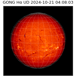 gong - 2024-10-21T04:08:03