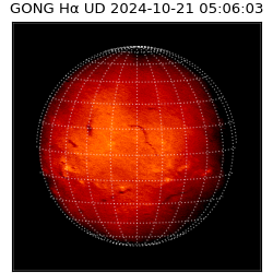 gong - 2024-10-21T05:06:03