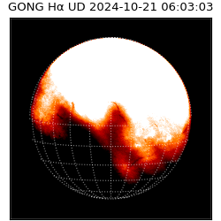 gong - 2024-10-21T06:03:03