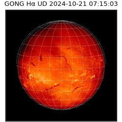 gong - 2024-10-21T07:15:03