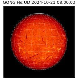 gong - 2024-10-21T08:00:03
