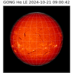 gong - 2024-10-21T09:00:42