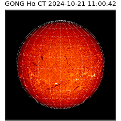 gong - 2024-10-21T11:00:42