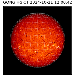 gong - 2024-10-21T12:00:42