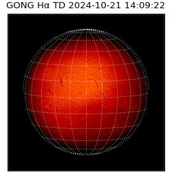 gong - 2024-10-21T14:09:22