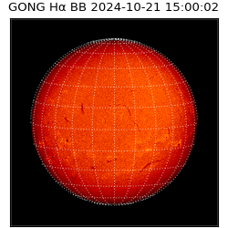 gong - 2024-10-21T15:00:02