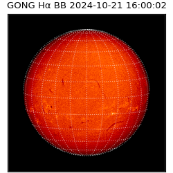 gong - 2024-10-21T16:00:02