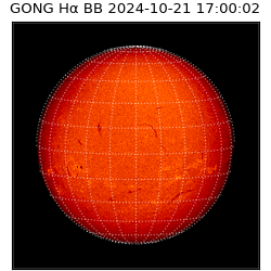 gong - 2024-10-21T17:00:02