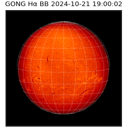 gong - 2024-10-21T19:00:02