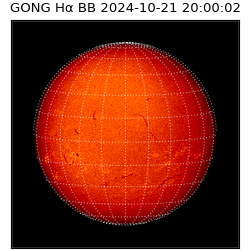 gong - 2024-10-21T20:00:02