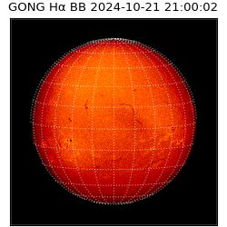 gong - 2024-10-21T21:00:02