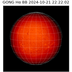 gong - 2024-10-21T22:22:02