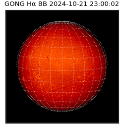 gong - 2024-10-21T23:00:02