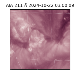 saia - 2024-10-22T03:00:09.630000