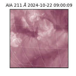 saia - 2024-10-22T09:00:09.626000