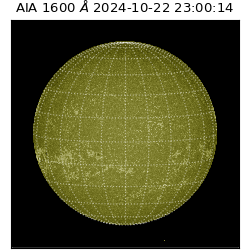 saia - 2024-10-22T23:00:14.126000
