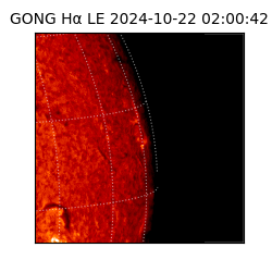 gong - 2024-10-22T02:00:42