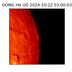 gong - 2024-10-22T03:00:03