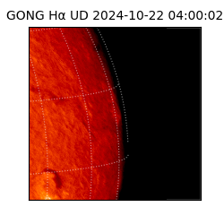 gong - 2024-10-22T04:00:02