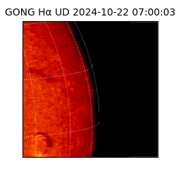 gong - 2024-10-22T07:00:03