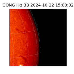 gong - 2024-10-22T15:00:02