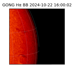 gong - 2024-10-22T16:00:02