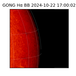 gong - 2024-10-22T17:00:02