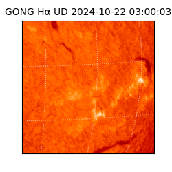 gong - 2024-10-22T03:00:03