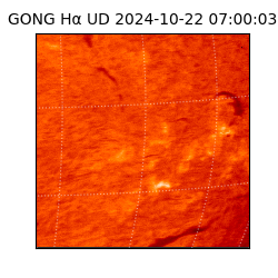 gong - 2024-10-22T07:00:03