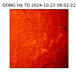 gong - 2024-10-22T08:02:22