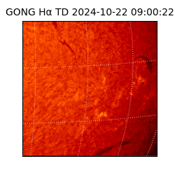gong - 2024-10-22T09:00:22