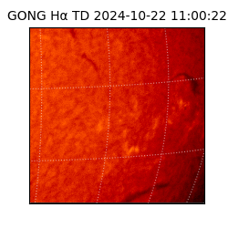 gong - 2024-10-22T11:00:22