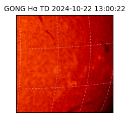 gong - 2024-10-22T13:00:22